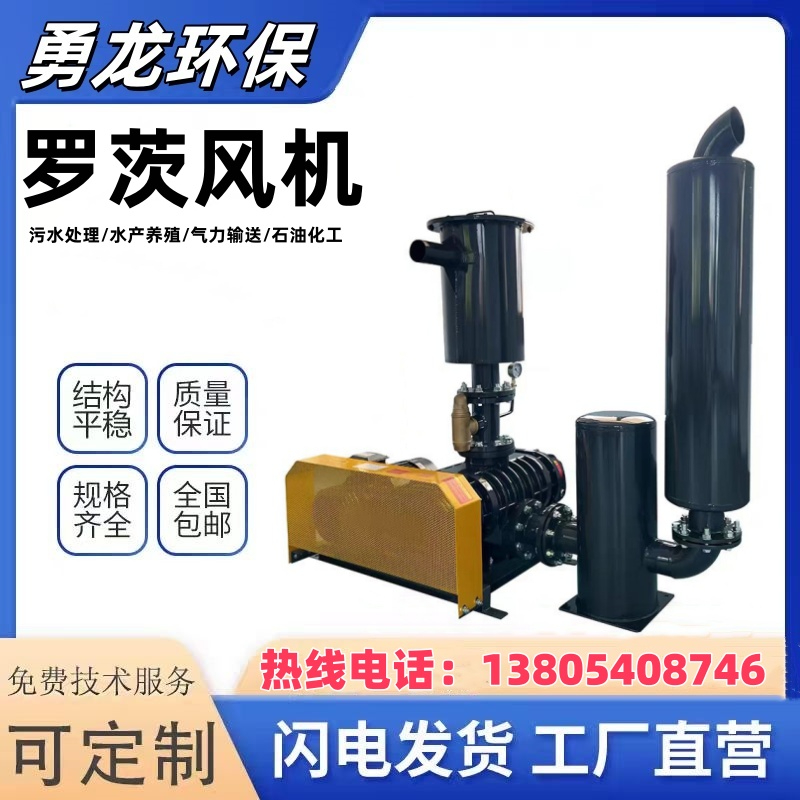 負(fù)壓羅茨真空泵工作原理