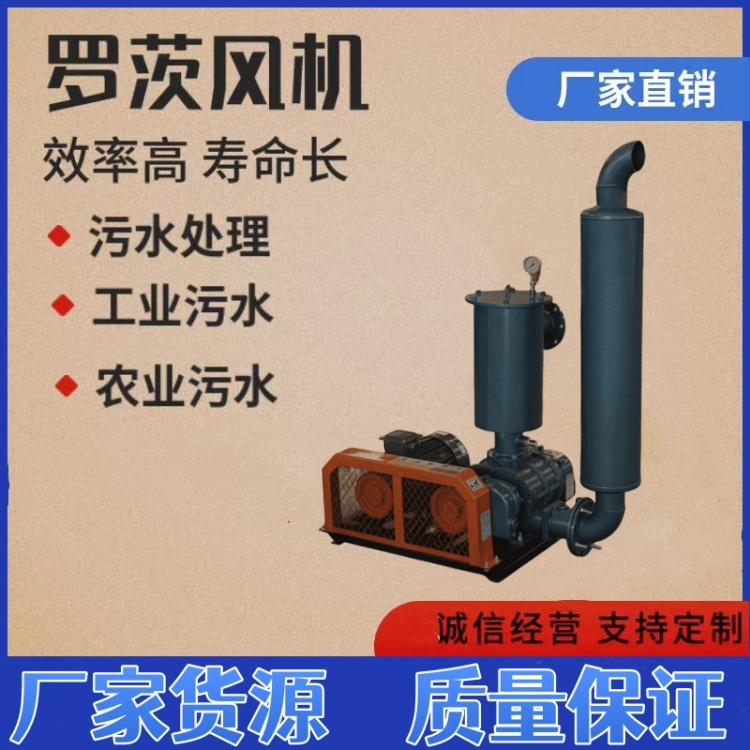 長(zhǎng)距離氣力輸送羅茨風(fēng)機(jī)的選型要點(diǎn)